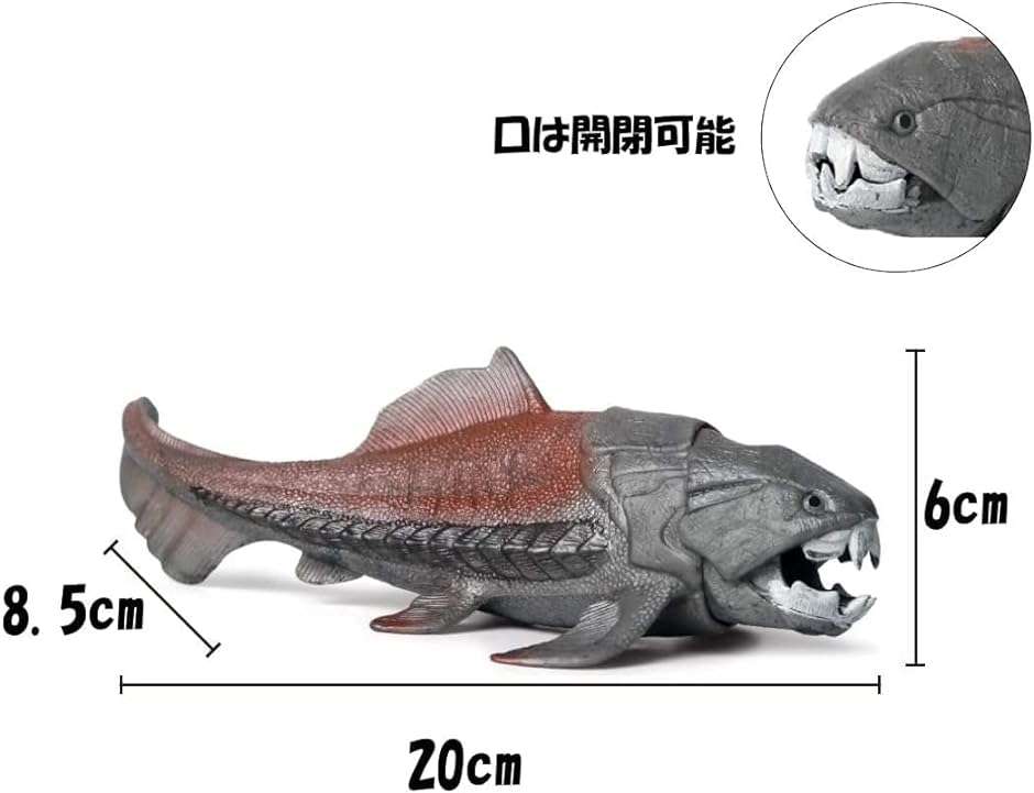 恐竜 フィギュア 海 おもちゃ 6＋ オウムガイ ダンクルオステウス - 超