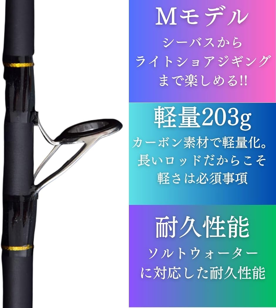 3m 10ft ルアーロッド 3ピース 折れても安心 シーバスロッド (ブラック
