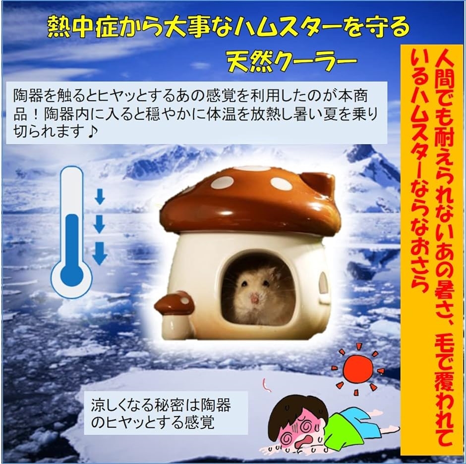 ハムスター 陶器 ハウス キノコ型 隠れ家 かわいいハウス おへや