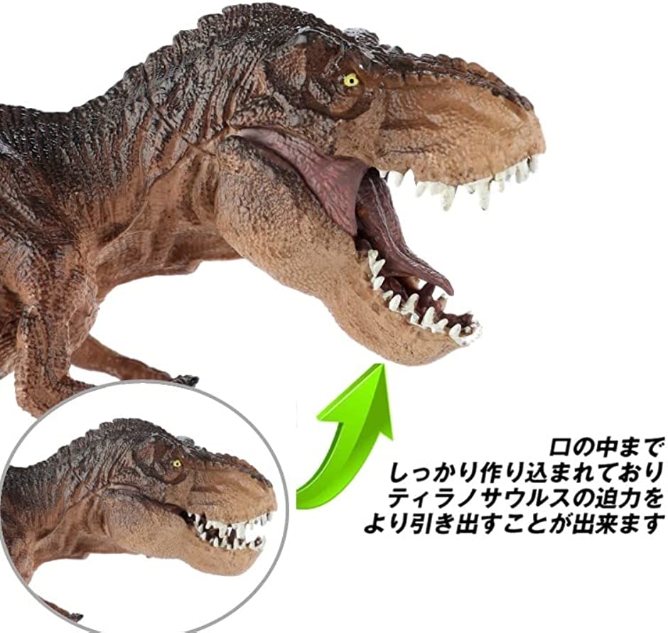 30cm級 恐竜 ティラノサウルス フィギュア 両足自立 PVC 口開閉 MDM( ブラウン)｜zebrand-shop｜03
