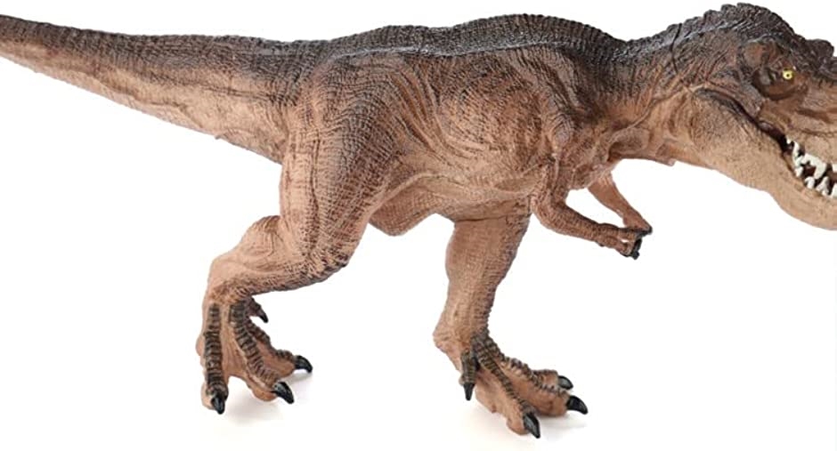 30cm級 恐竜 ティラノサウルス フィギュア 両足自立 PVC 口開閉 MDM( ブラウン)｜zebrand-shop｜04