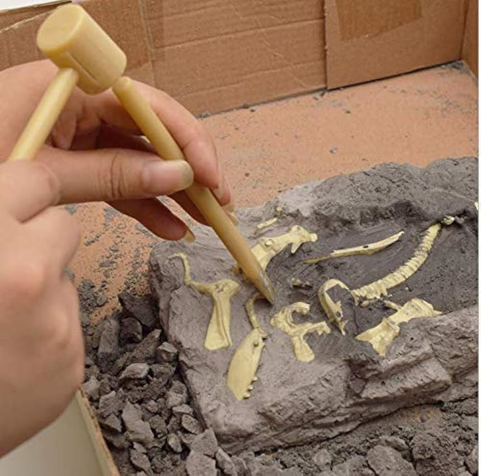 恐竜発掘キット 化石 おもちゃ 化石発掘キット 骨格組立 恐竜発掘セット 知育 子供用( トリケラトプス)｜zebrand-shop｜05