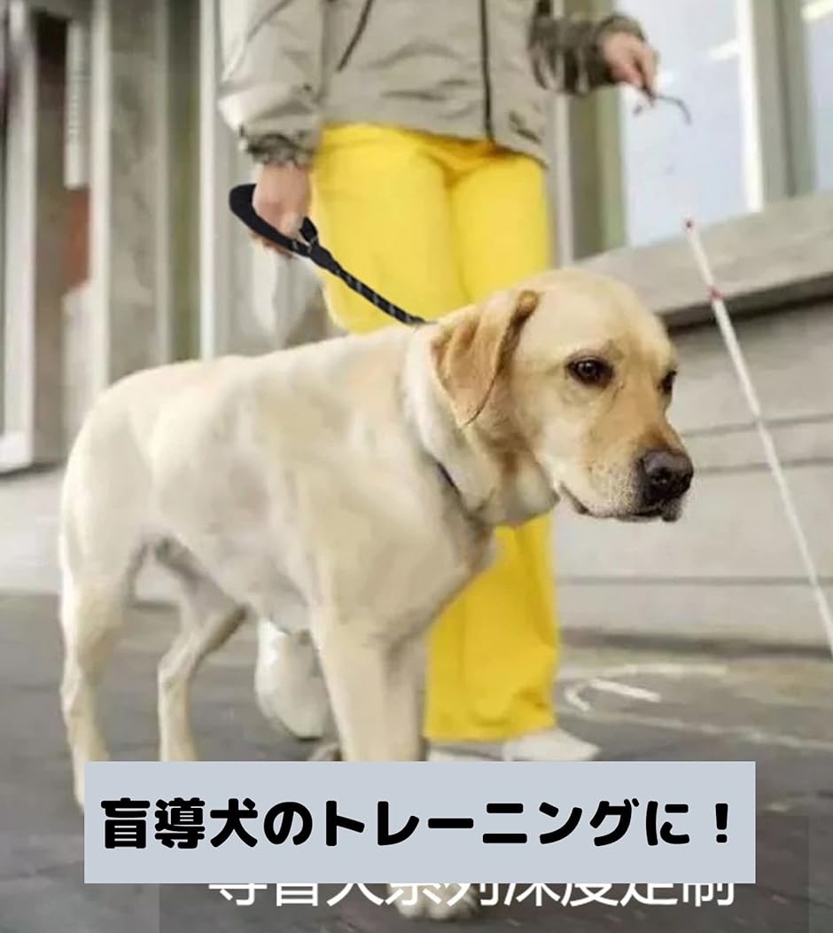 ショートリード 犬 散歩 訓練 大型犬 中型犬 リフレクター効果 クッショングリップ( レッド,  ワンサイズ)