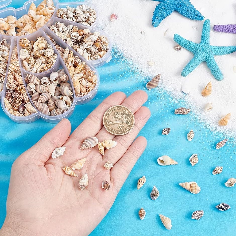 460個 貝殻セット 巻貝 6種 天然素材 ミックス ビーチ シェル 水槽装飾