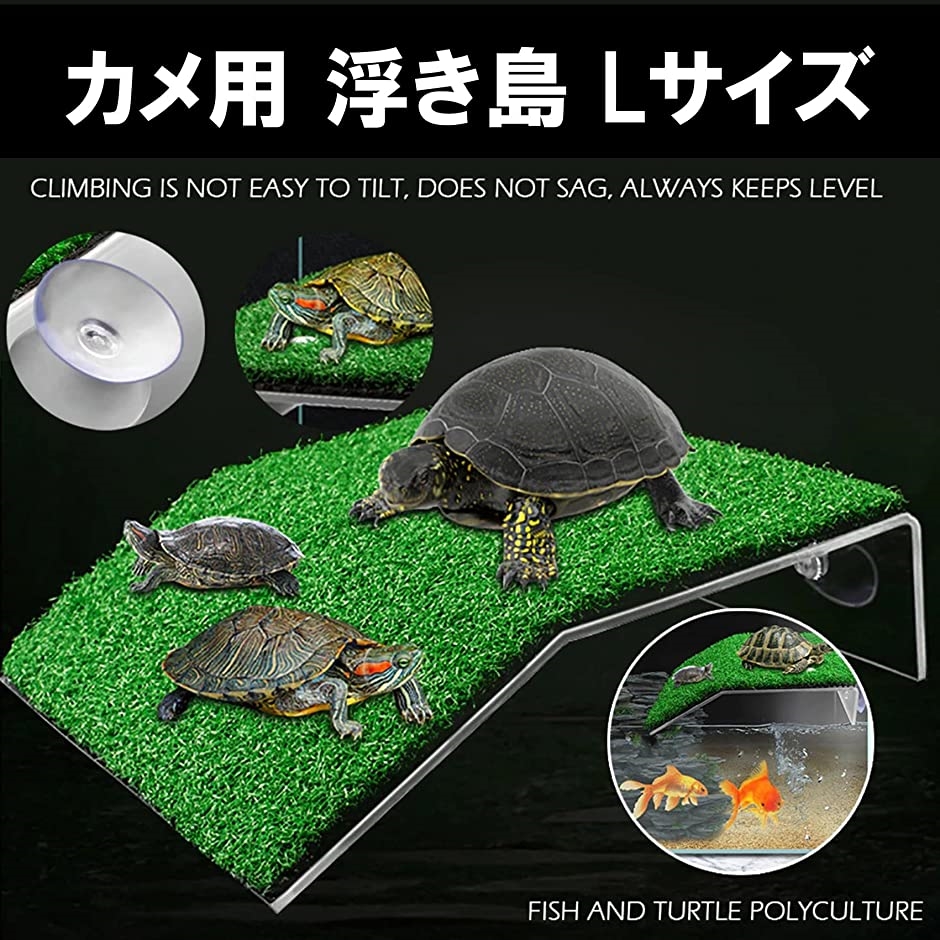 亀 浮島 水槽台 カメ 爬虫類 両生類 アクアリウム Lサイズ(グリーン)｜zebrand-shop｜02