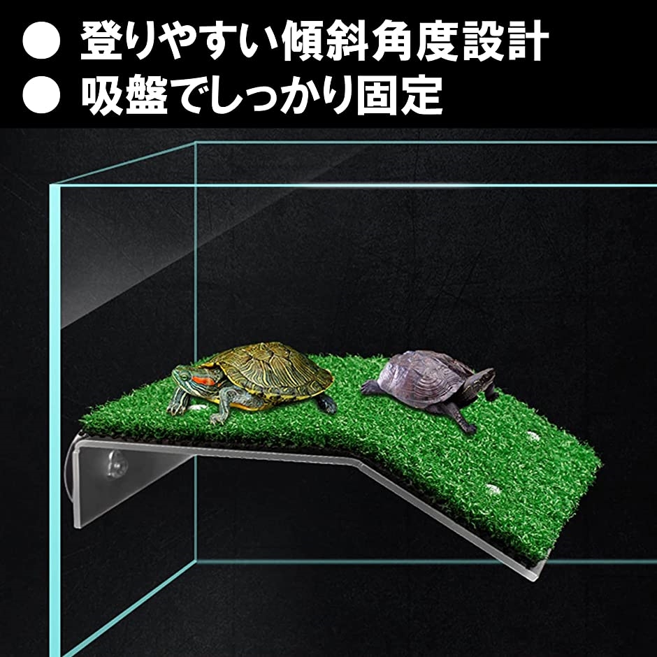 亀 浮島 水槽台 カメ 爬虫類 両生類 アクアリウム Lサイズ(グリーン)｜zebrand-shop｜03