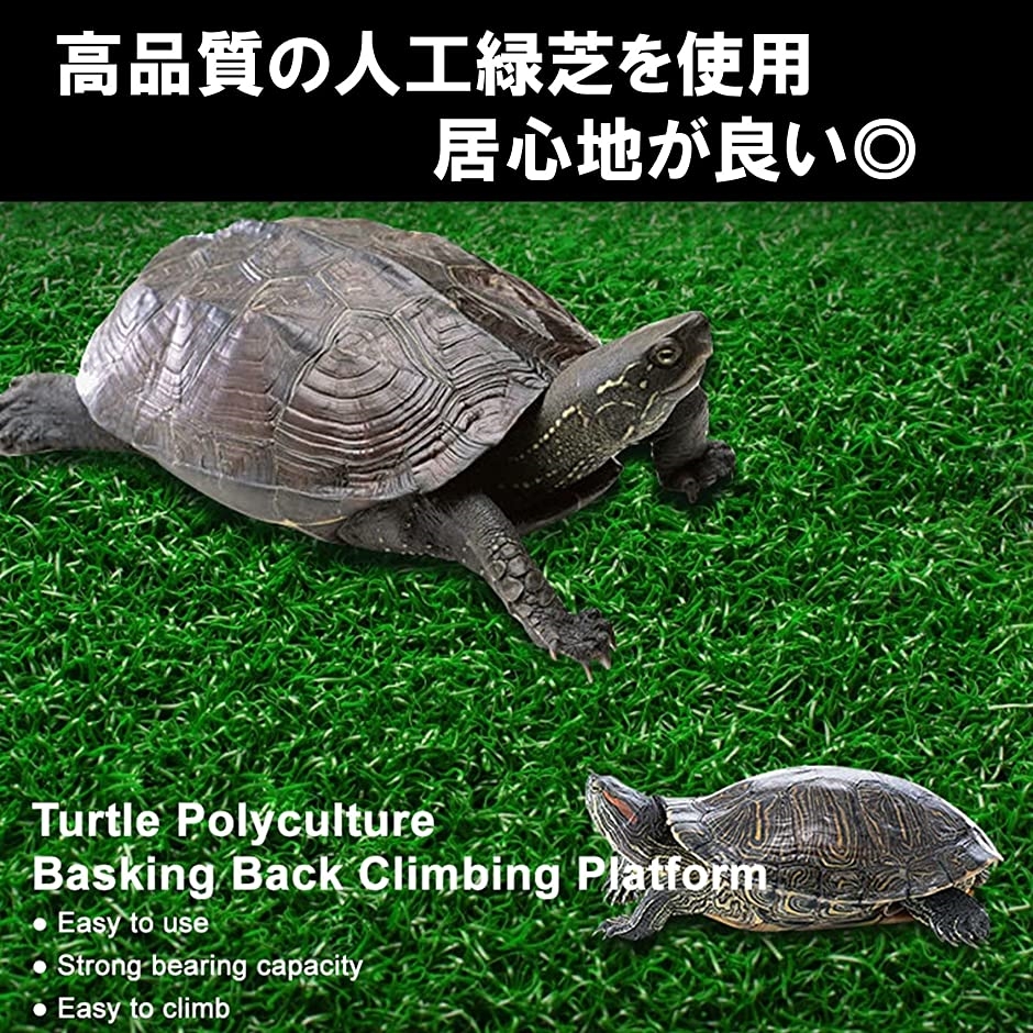 亀 浮島 水槽台 カメ 爬虫類 両生類 アクアリウム Lサイズ(グリーン)｜zebrand-shop｜04