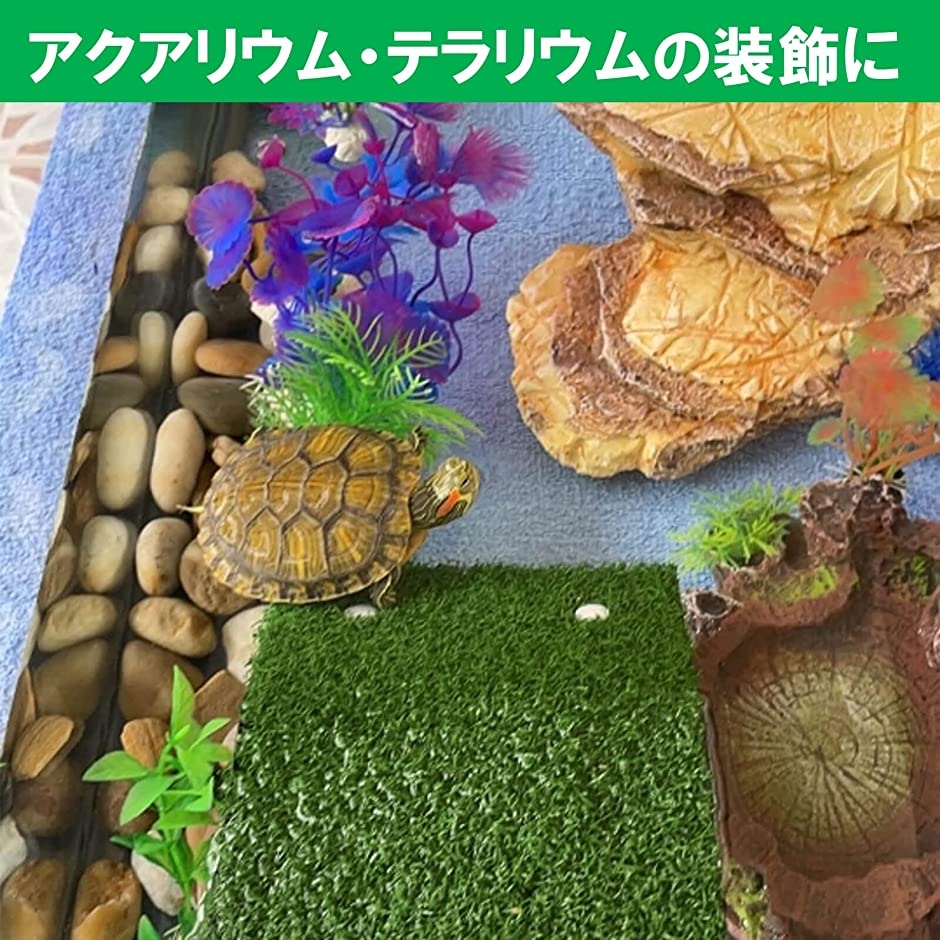 亀 浮島 水槽台 カメ 爬虫類 両生類 アクアリウム Lサイズ(グリーン)｜zebrand-shop｜06