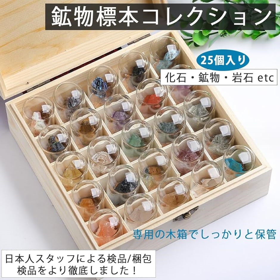 鉱物標本 セット 箱 コレクション 岩石 化石 宝石 原石 コレクション