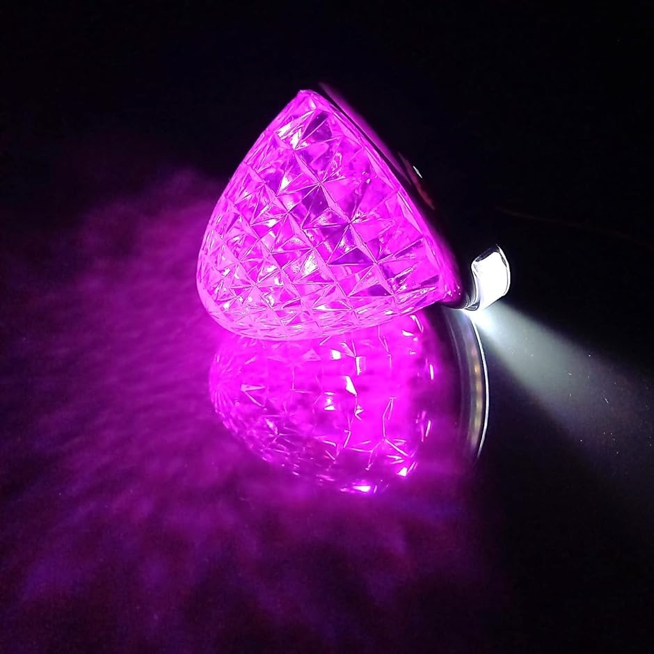 【互換品】 カスタマイズ 12V 24V トラック用 LED マーカーランプ 路肩灯機能付 サイド メッキリング 汎用(ピンク,  6個)の画像