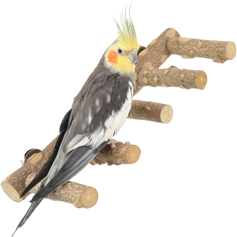 鳥の5連とまり木 天然木 鳥スタンド 枝 インコ おもちゃ 鳥おもちゃ アスレチック 階段 噛むおもちゃ 鳥用品 鳥休み場所 オウム｜zebrand-shop