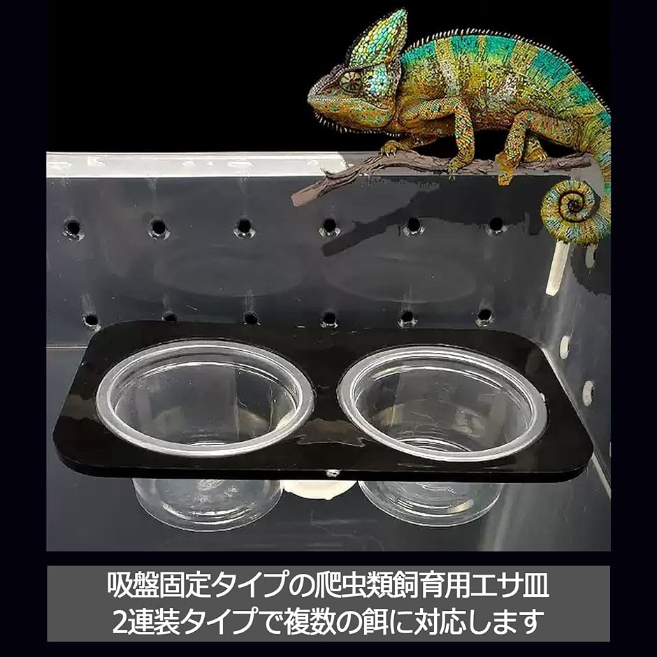 新作揃え 爬虫類 エサ入れ 水入れ