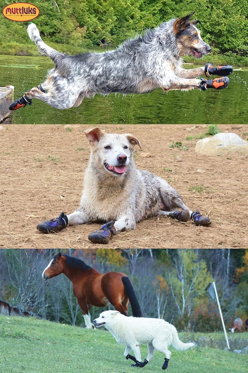 マッドモンスターズ 犬 靴 脱げない 履かせやすい 丈夫で柔らかい靴底