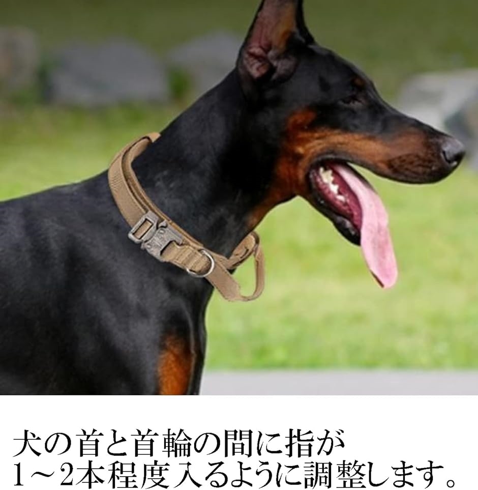 犬 首輪 グリップ ハンドル付き ナイロン製 調整可能 メタルDリング犬 ペット用品( ベージュ,  M)｜zebrand-shop｜03