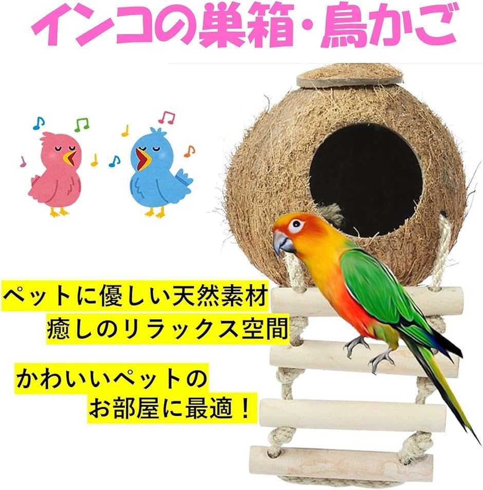 インコ 巣箱 鳥かご はしご 付き｜zebrand-shop｜02