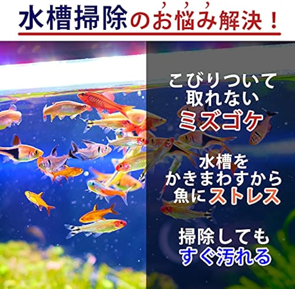 水槽 スクレーパー プロレイザー 苔 コケ取り 苔スクレーパー 掃除 46cm 替え刃10枚付き｜zebrand-shop｜02