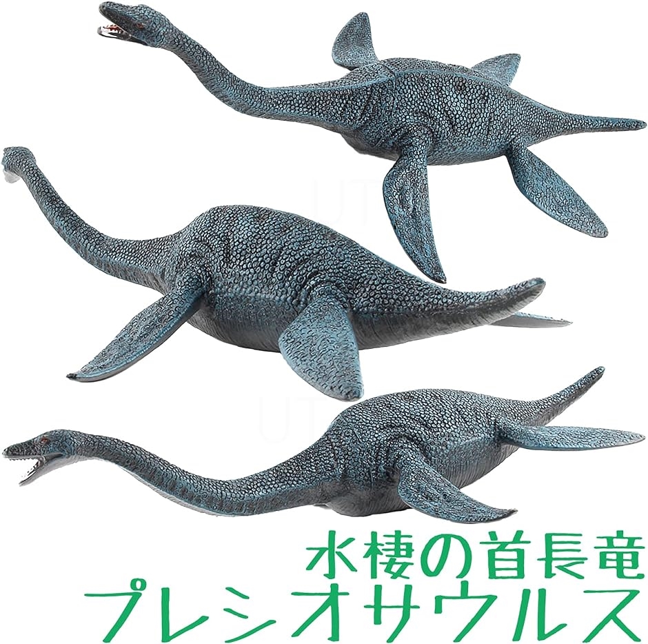 海 恐竜 おもちゃ フィギュア モササウルス プレシオサウルス 2体セット｜zebrand-shop｜06