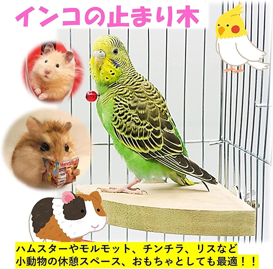 長方形止まり木+四角い止まり木 インコ・小動物用ステップ - 止まり木