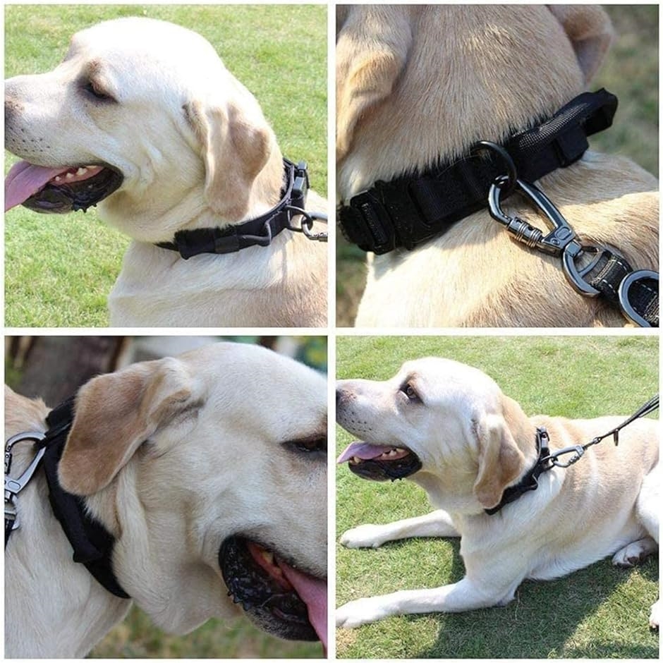 犬 首輪 グリップ ハンドル付き ナイロン製 調整可能 メタルDリング犬 ペット用品( ブラック,  XL)｜zebrand-shop｜04
