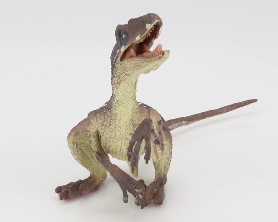 恐竜 フィギュア リアル 模型 ヴェロキラプトルタイプ2｜zebrand-shop｜05