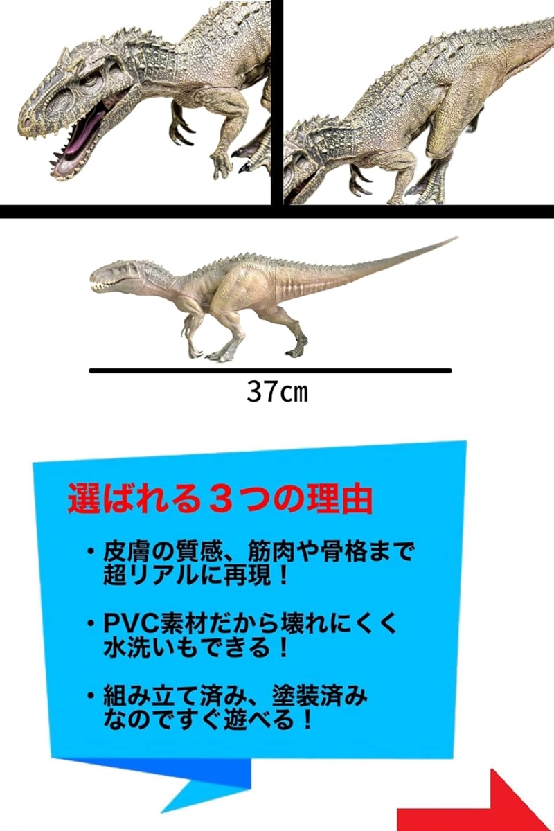 恐竜 フィギュア インドミナスレックス インドラプトル おもちゃ 34cm ジュラシック( インドミナスレックスB)｜zebrand-shop｜05