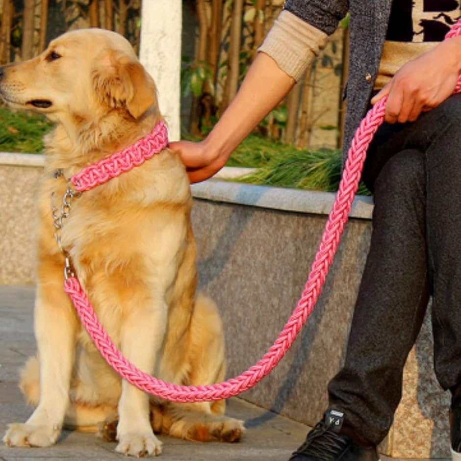 犬 パラシュートコード リード首輪セット パラコード ハーフチョーク MDM( ピンク,  M)｜zebrand-shop｜02