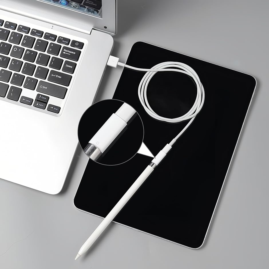 Apple Pencil 充電アダプター 第1世代用 アップルペンシル 充電