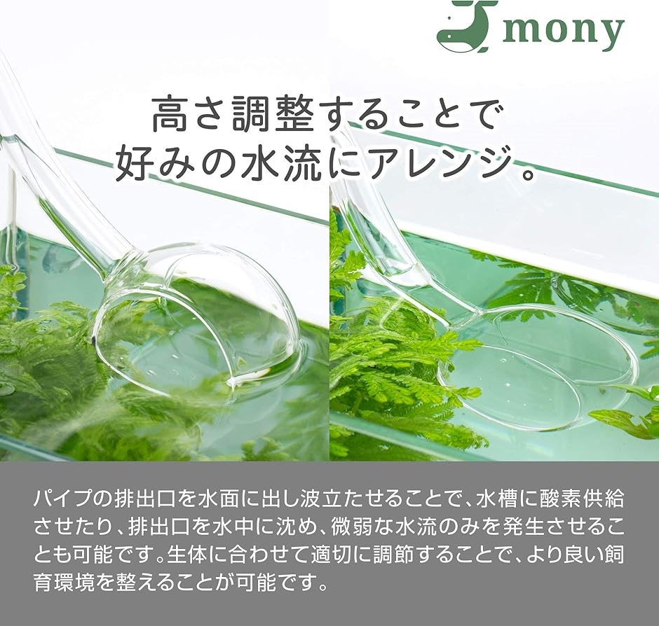 リリィパイプ アクアリウム 水槽セット エアレーション 熱帯魚
