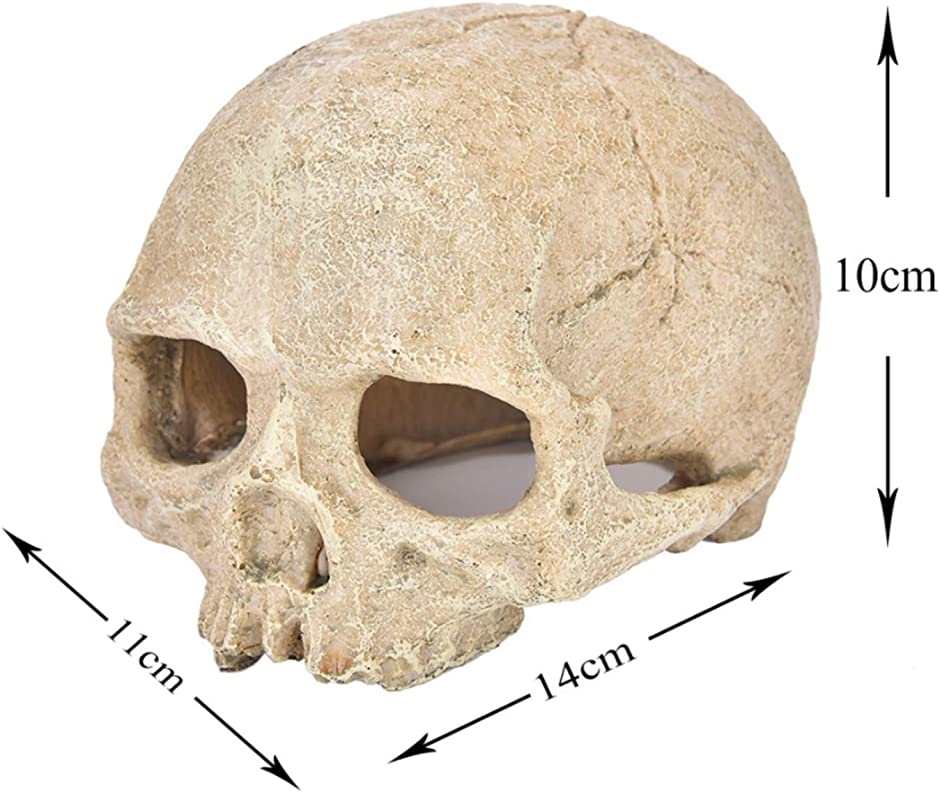 爬虫類 ケージ シェルター スカル 飼育ケース レオパ リクガメ トカゲ ヤドカリ アクアリウム オブジェ｜zebrand-shop｜05
