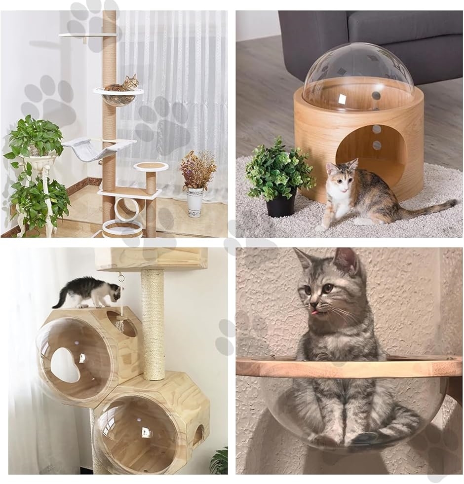 キャットドーム ハウス キャットクリア カプセル アクリルドーム