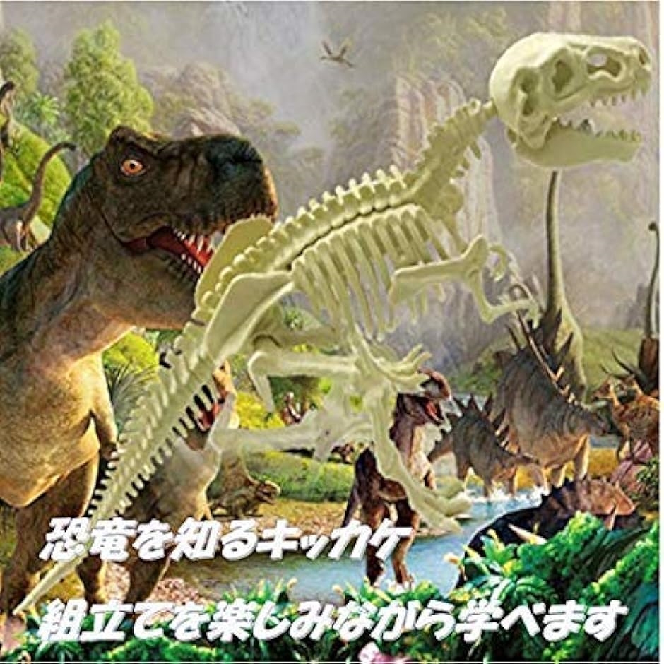 恐竜ラプトル ヴェロキラプトル 小型肉食きょうりゅう 化石発掘セット｜zebrand-shop｜07