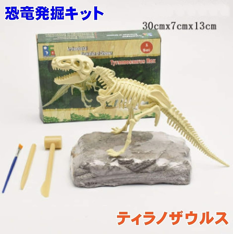 恐竜発掘キット 化石 おもちゃ 化石発掘キット 骨格組立 恐竜発掘