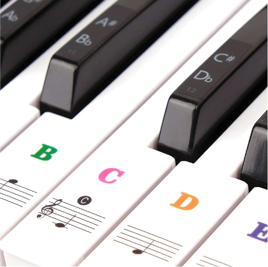 49 / 61 76 88 鍵盤対応 ピアノシール ピアノステッカー キーボード 音符シール 初心者 練習 音符ガイド( カラフル)｜zebrand-shop