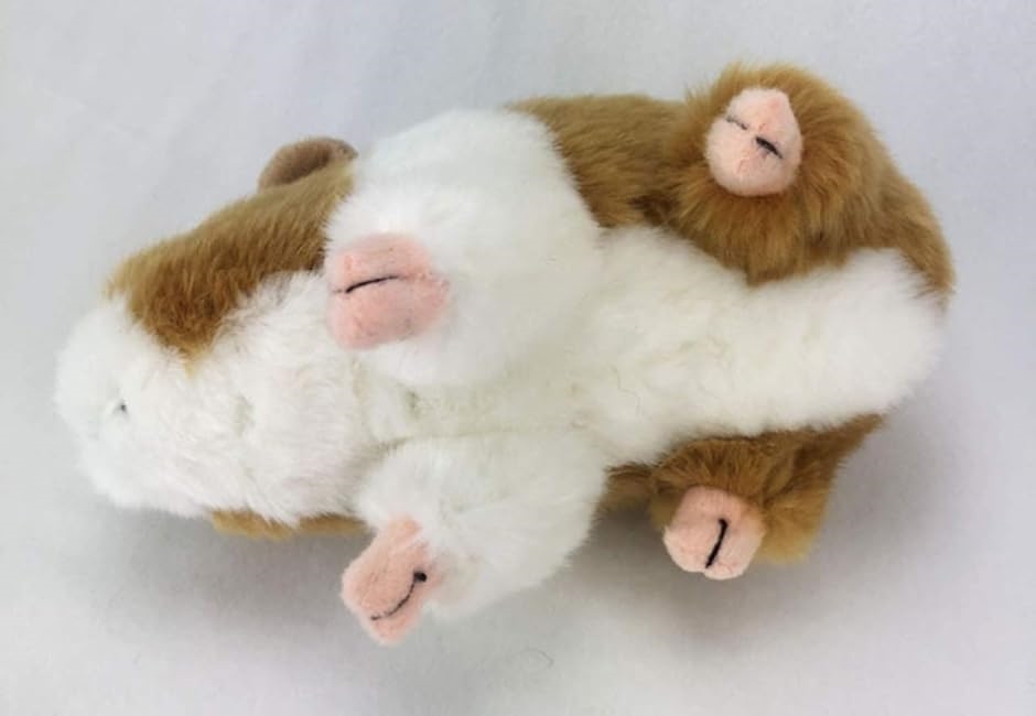 18cm かわいい ぬいぐるみ 天竺鼠 モルモットふわふわ 可愛い 人形( 18cm)｜zebrand-shop｜07