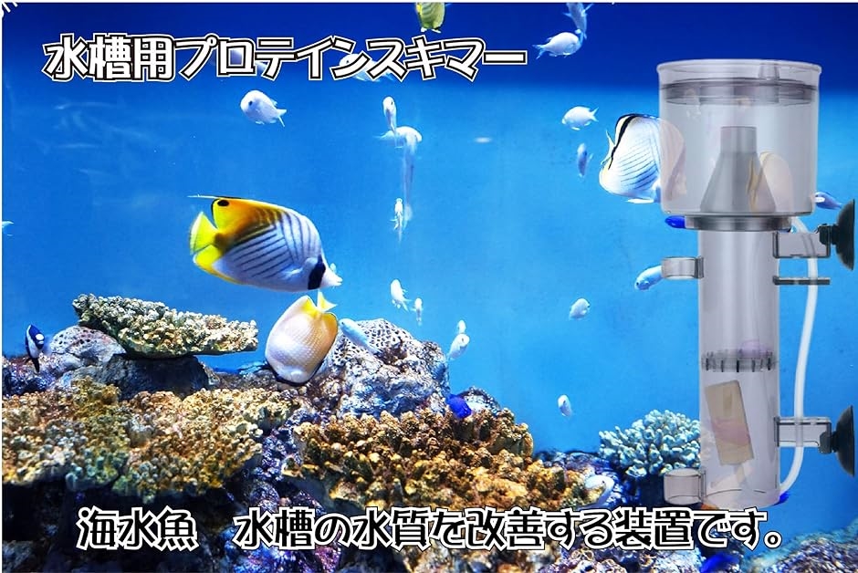 水槽用 水質改善 装置 スキマー 海水魚飼育用 タンパク質 23cm 小型( 23cm　小型)