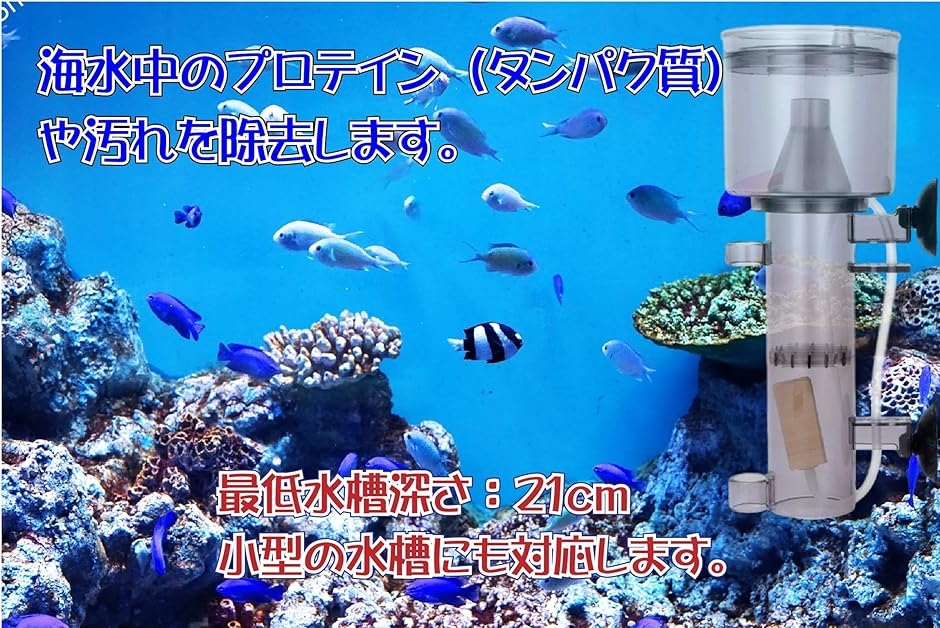 ゼンスイ qq1（フィルター、ポンプ、ろ材（水槽、アクアリウム用品