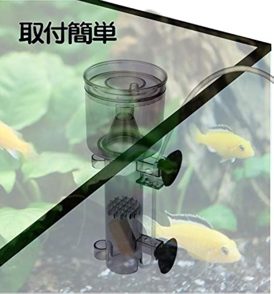 ゼンスイ qq1（フィルター、ポンプ、ろ材（水槽、アクアリウム用品