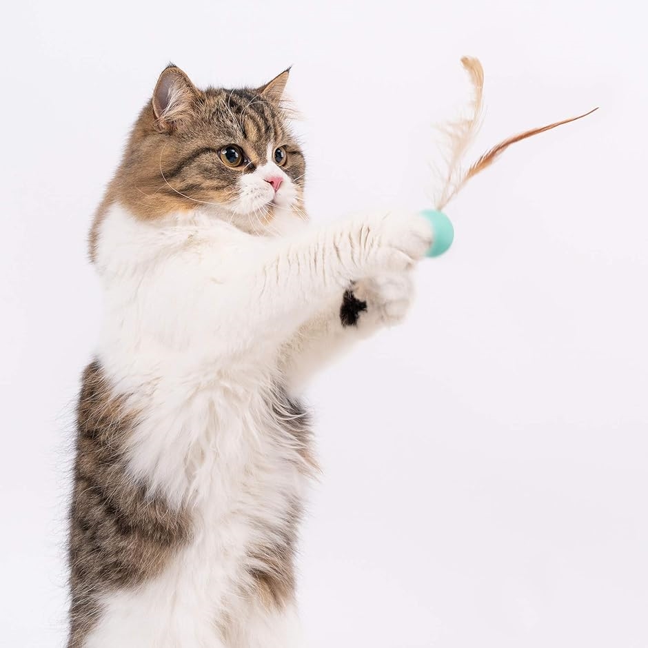 猫 おもちゃ ボール 猫用 羽毛 弾力ボール 猫遊び用 一人遊び 運動不足解消( 9個入)｜zebrand-shop｜04