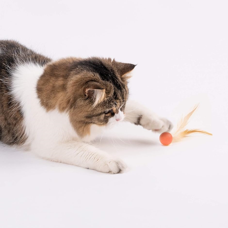 猫 おもちゃ ボール 猫用 羽毛 弾力ボール 猫遊び用 一人遊び 運動不足解消( 9個入)｜zebrand-shop｜08
