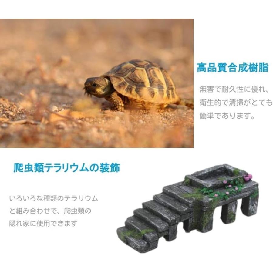 爬虫類シェルター 両生類 亀の家 乾燥プラットフォーム テラリウム( M)｜zebrand-shop｜03