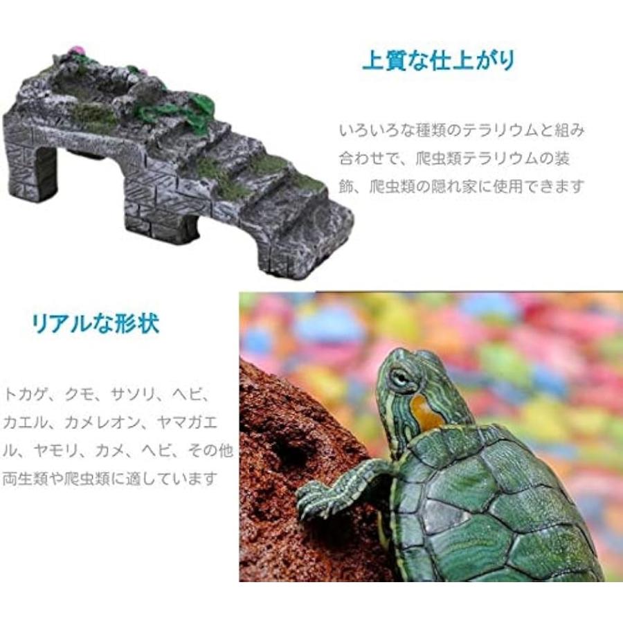 爬虫類シェルター 両生類 亀の家 乾燥プラットフォーム テラリウム( M)｜zebrand-shop｜04