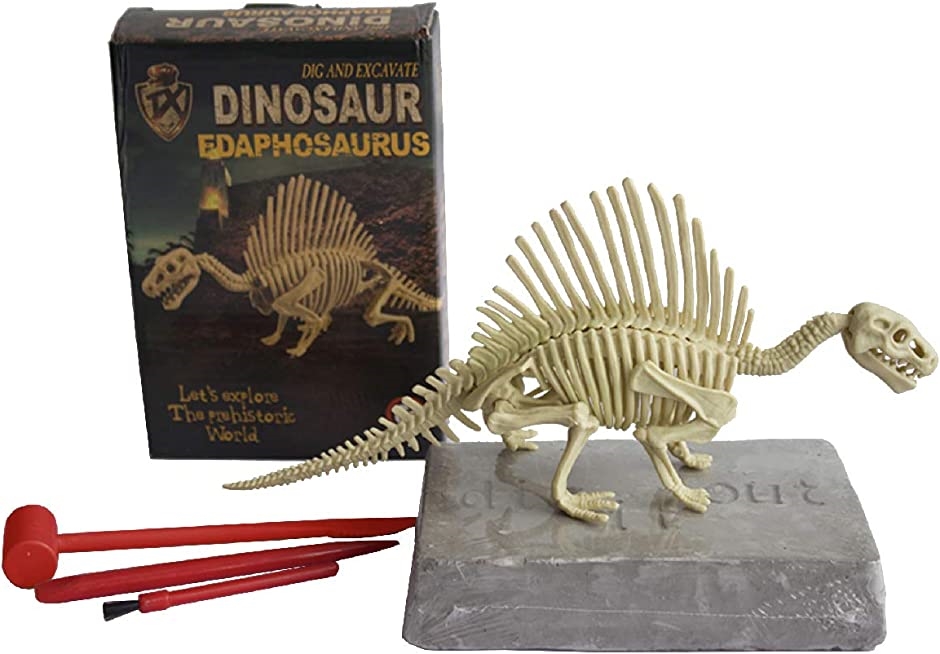 古代 恐竜 化石発掘セット ティラノサウルス 角龍 草食恐竜 玩具 知育教材 エダフォサウルス