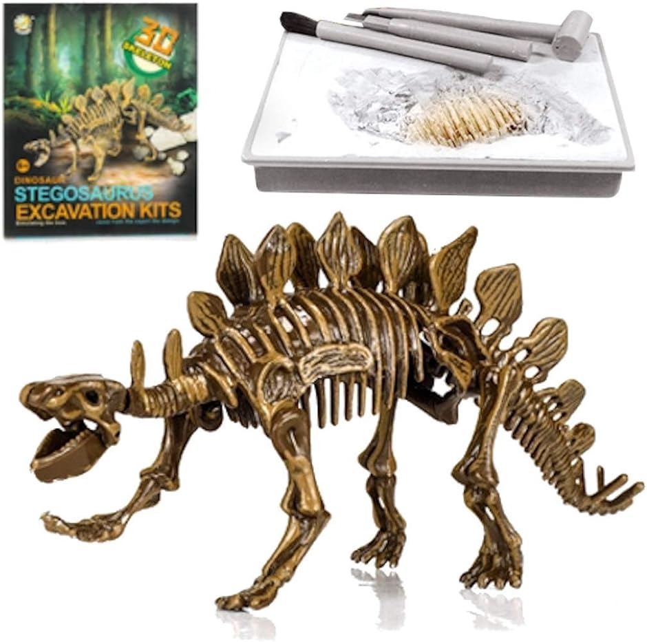 恐竜化石発掘 おもちゃ 発掘キット 恐竜の骨 Stegosaurus｜zebrand-shop