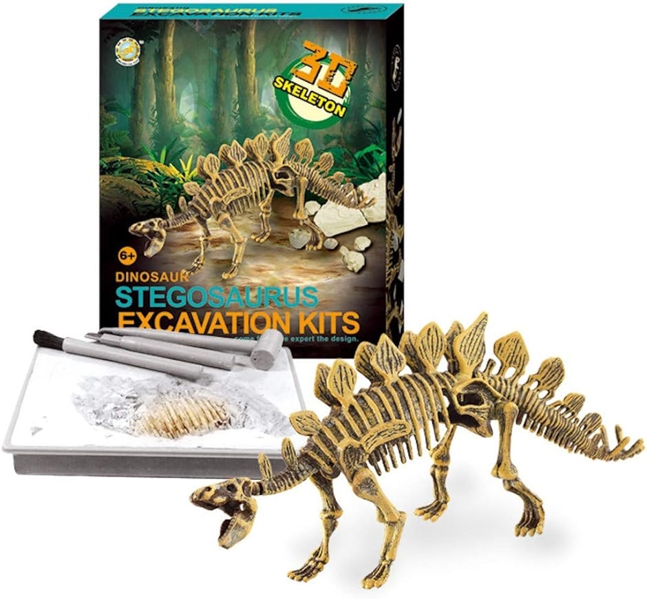 恐竜化石発掘 おもちゃ 発掘キット 恐竜の骨 Stegosaurus｜zebrand-shop｜02