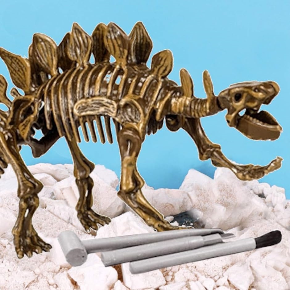 恐竜化石発掘 おもちゃ 発掘キット 恐竜の骨 Stegosaurus｜zebrand-shop｜03