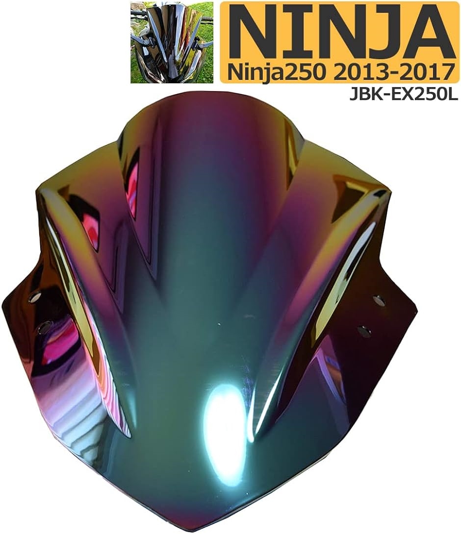 kawasaki カワサキ ninja ニンジャ スモーク スクリーン ダブル