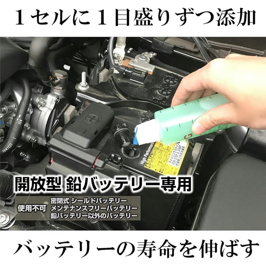 鉛バッテリー 復活剤 再生剤 NEW ラスロンG 一般車両用 グリーン 28Ah - 105Ah 1本( 緑)｜zebrand-shop｜02