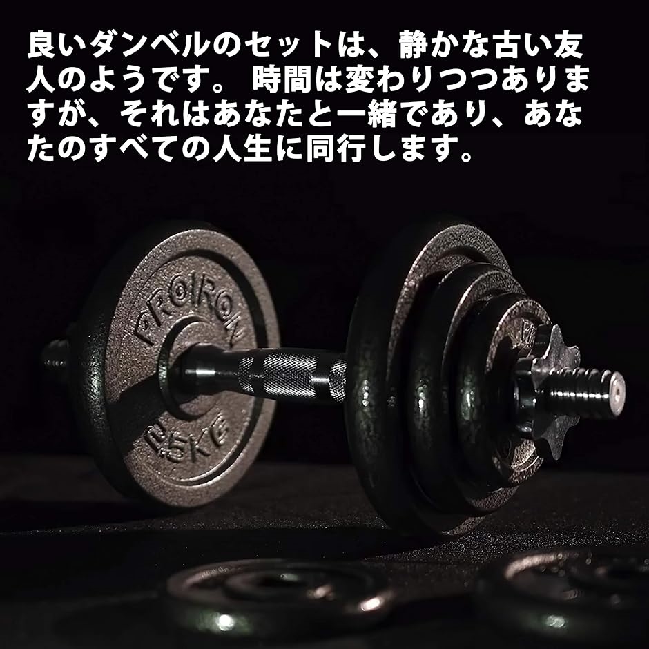 ダンベル プレートダンベルおもり追加 純鋳鉄 5kgx2個 穴径25mm
