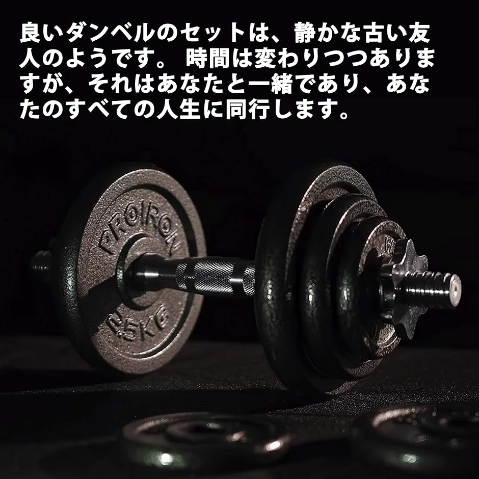 ダンベル プレートダンベルおもり追加 純鋳鉄 2.5kgx4個 穴径25mm