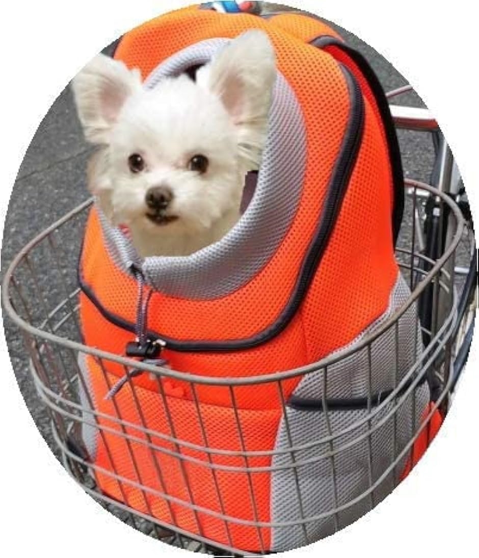 ]  L ybgL[ L[obO bN ybgbN( ORANGE)